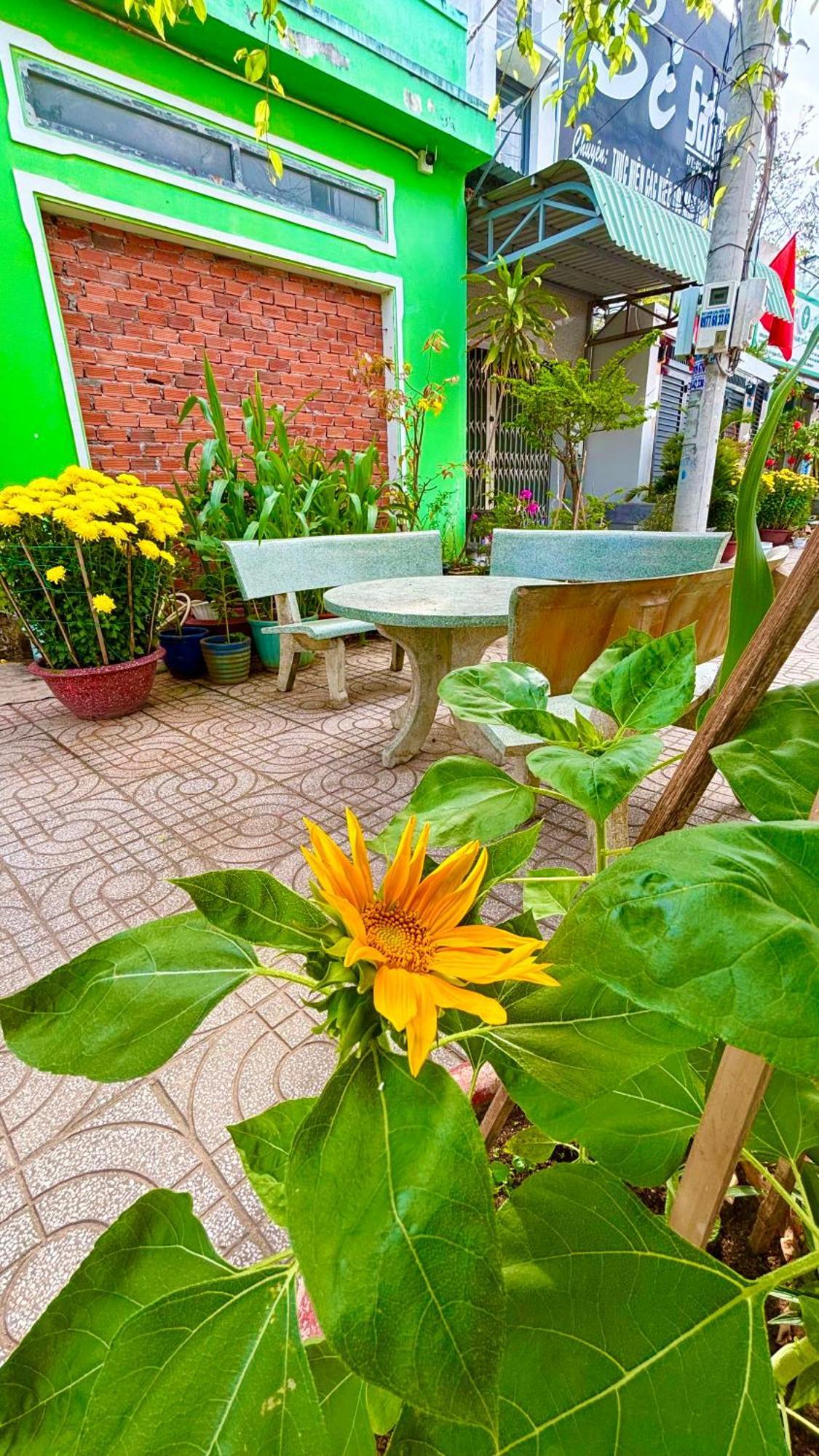 Thuy Hang Motel Long Hai Dış mekan fotoğraf